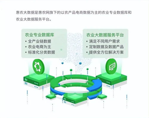 惠農網 數字化產業服務十年助農路，從追趕到超越的數字內容賦能之旅